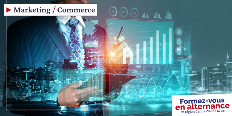 Licence - Commerce, vente et marketing